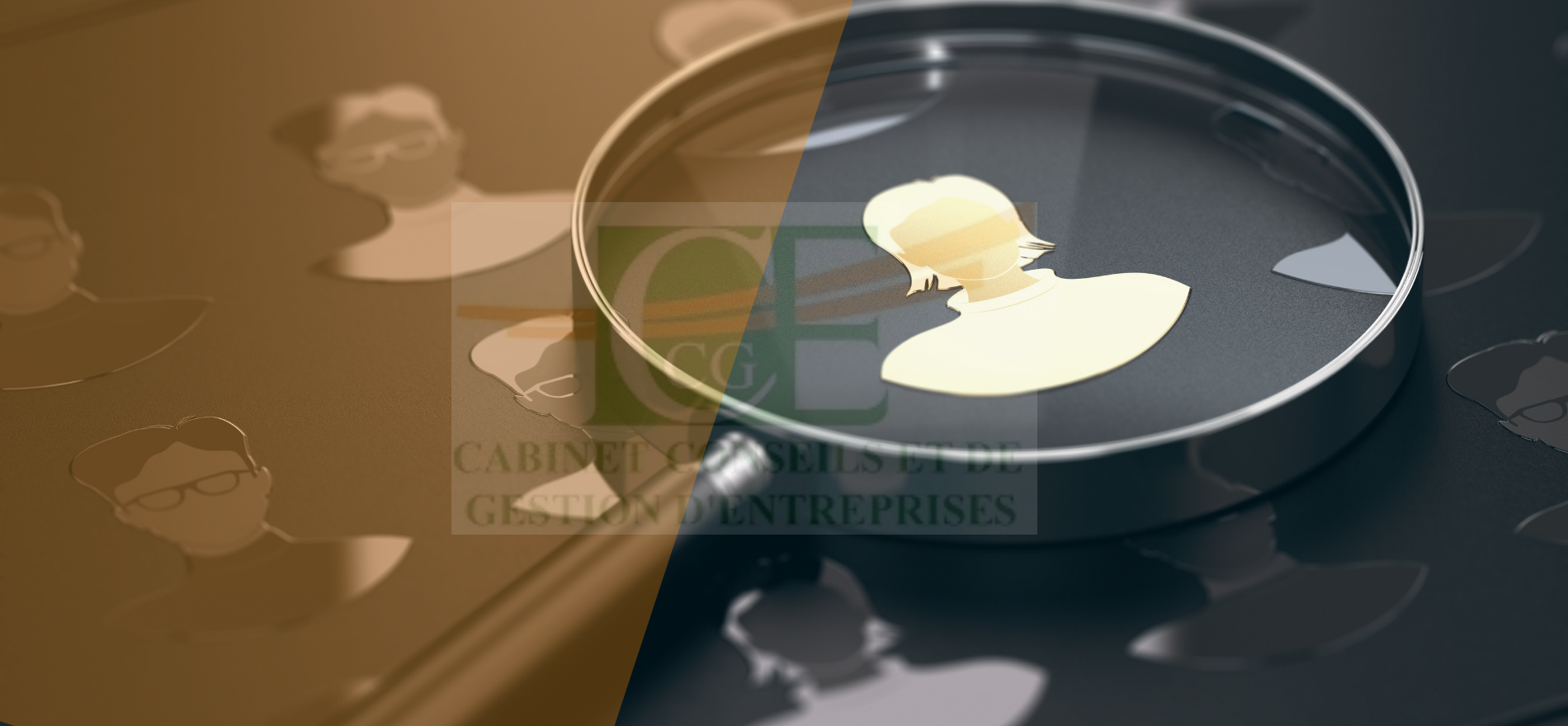 Management Et Gestion Du Capital Humain